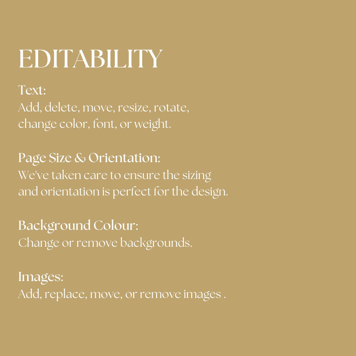 Luxury Beige Wedding Website Templates with RSVP LB-020
